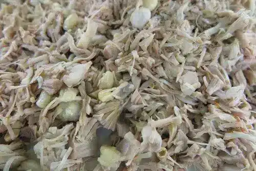 Plant-based food - picture of shredded Jackfruit